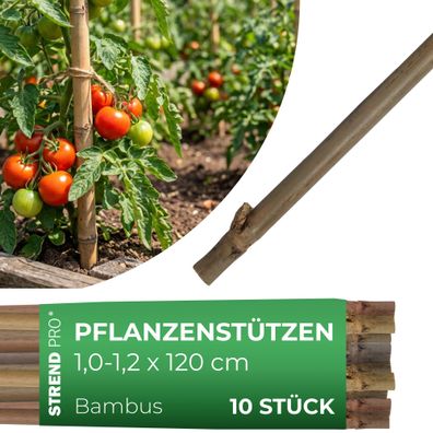 Stab Garden KBT 1200 10-12 mm, Pack. 10 Stk., Bambus, Stützstab für