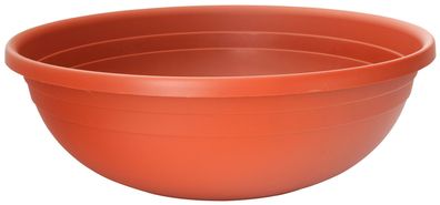 Blumentopf ICS CLIVIA 50x16 cm