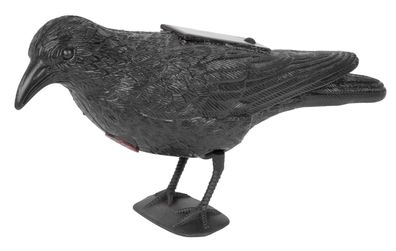 Vogelabwehr Rabe schwarz, solarbetrieben, Ton