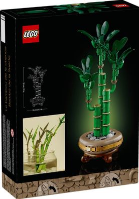 LEGO® Botanicals 10344 Glücks-Bambus