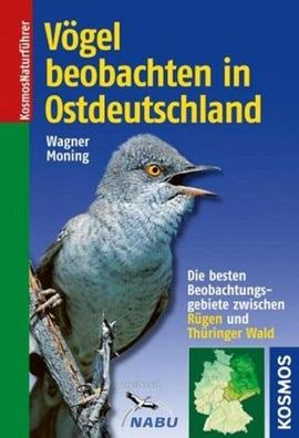 Vögel beobachten in Ostdeutschland: Die besten Beobachtungsgebiete zwischen Rügen und