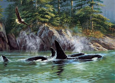 Orca