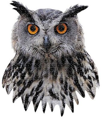 Eule