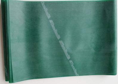 Thera-Band® 2,5m GRÜN im PE Beutel mit Anleitung