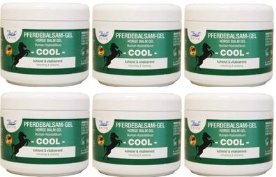 eco med Pferdebalsam Pferde Balsam Horse Gel erfrischend kühlend, 6x 500ml