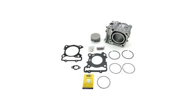Magneti Marelli Zylindersatz Standard, oh 300 ccm