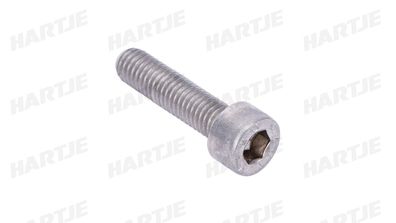 Dresselhaus Zylinderschraube "3357" Innensechskant 5 x 20 mm, VE: