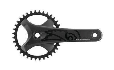 Campagnolo Kettenradgarnitur "Ekar GT 13s" 1-fach, 38 Zähne, 170