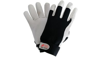 Dexter 1 Lederhandschuh Gr. 8