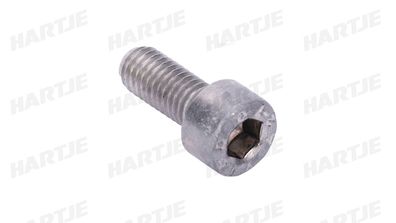 Dresselhaus Zylinderschraube "3357" Innensechskant 6 x 14 mm, VE: