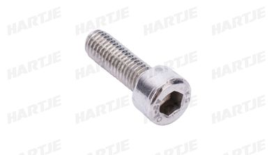 Dresselhaus Zylinderschraube "3357" Innensechskant 6 x 16 mm, VE: