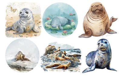 Bügelbild Bügelmotiv Robbe Meer Ozean Junge Mädchen verschiedene Größen