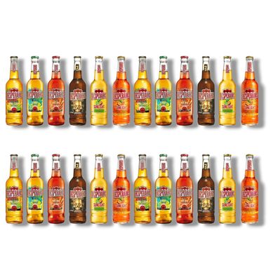 Desperados Mixpaket 24 x 0,4l - Probierpaket mit 6 Sorten Biermischgetränk