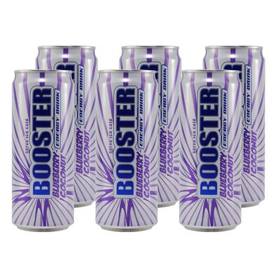 Booster Energy Drink Blueberry-Coconut (24 x 0,33L) EINWEG