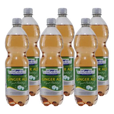 Blankenburger Ginger Ale (12 x 1,0L) EINWEG