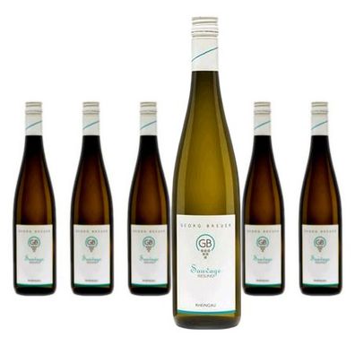 6 x Weingut Georg Breuer Riesling trocken Sauvage – 2025