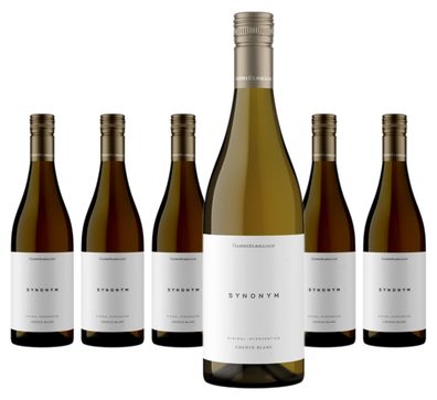 6 x Gabrielskloof Synonym Chenin Blanc – 2025