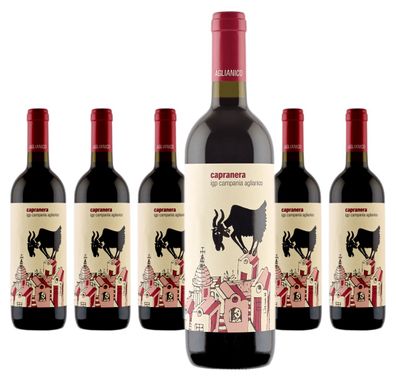 6 x San Salvatore Capranera Aglianico – 2023