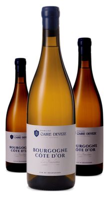 3 x Domaine Caire-Deveze Bourgogne Côte d'Or Les Femelottes – 2023