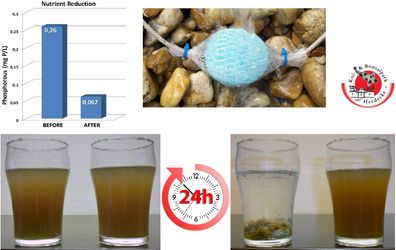 Pond Zinger Teichklärer Phosphatentferner Algenentferner für max. 45 m³ Teiche