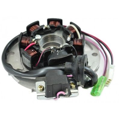 Stator E-Ton AXL Lightning DXL Sierra RXL Viper TXL Thunder Polaris Predator Scramble