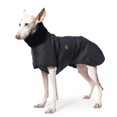 Fashion Dog gefütterter Regenmantel speziell für Windhunde, Schwarz