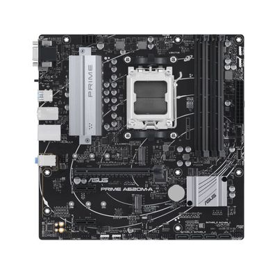 ASUS PRIME A620M-A-CSM, Mainboard (schwarz/silber)