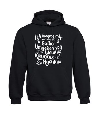 komme mir vor wie ein Gallier I Sprüche I Fun I Lustig bis 5XL I Herren Hoodie