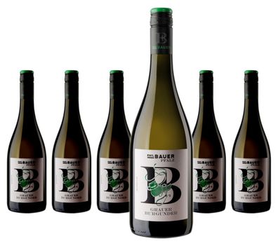 6 x Emil Bauer & Söhne Bundschuh Grauer Burgunder – 2025