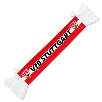 VfB Stuttgart Autoschal Auswärtssieg mit Saugnapf