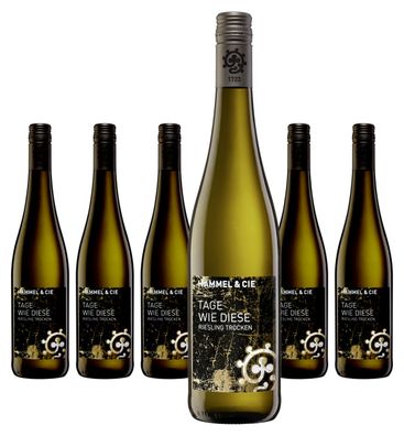 6 x Weingut Hammel Tage wie diese Riesling tr. – 2025