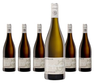 6 x Hammel Lokalmatador Pfälzer. Riesling trocken – 2025