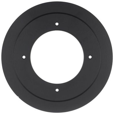 Brennerplatte 250X10X120 f. W2, L10, L10-A, L10-B WG10 - 10900004737 von Weishaupt