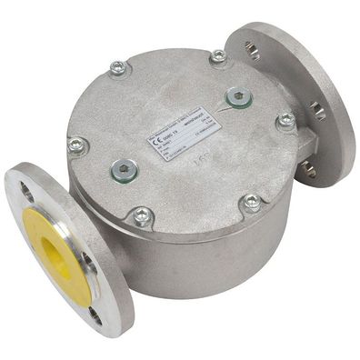 Filter DN40 WF 3040/1 für Allgas PB 5 bar - 15122340170 von Weishaupt