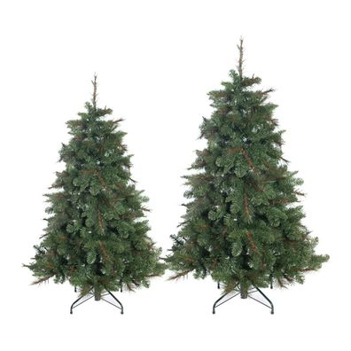 Evergreen Weihnachtsbaum Mesa Fichte
