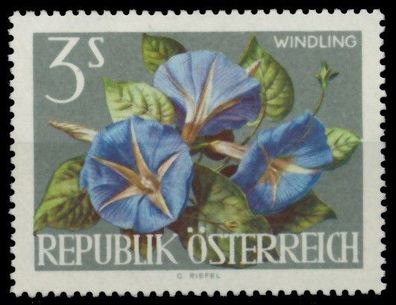 Österreich 1964 Nr 1149 postfrisch SBCC46A
