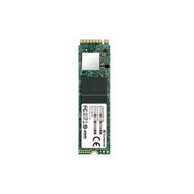 Transcend - TS256GMTE110S - Festplatte