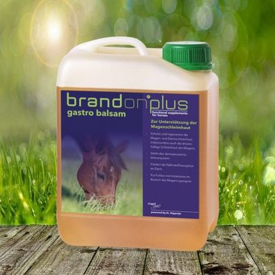 Brandon plus gastro balsam 2,5 l