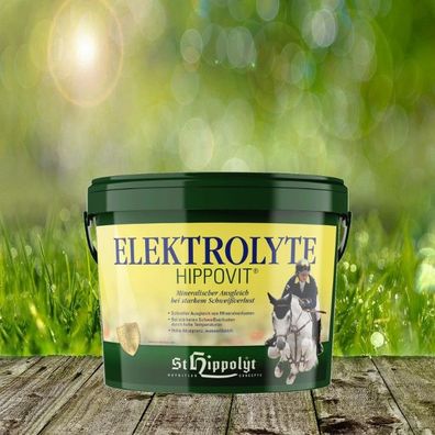 St. Hippolyt Elektrolyte 2,5 kg - Mineralischer Ausgleich bei starkem Schweißverlust