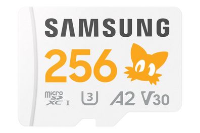 Samsung MB-MD256S 256 GB MicroSDXC UHS-I Klasse 10