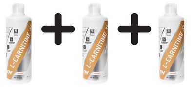3 x Dorian Yates Liquid L-Carnitine XL, Mango - 1000 ml