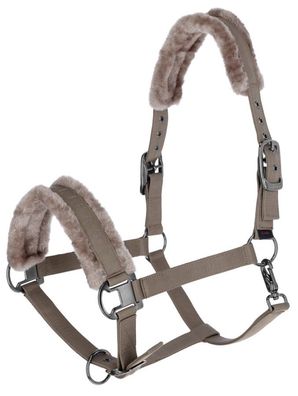 Covalliero Halfter taupe H/W 24