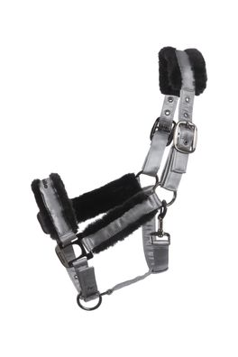 Cavallo JERO Elegantes Halfter silvergrey Horsefashion 2025