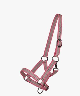 QHP Halfter Fohlen Collection Flamingo FS/25