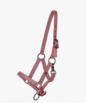 QHP Halfter Jährling Collection Flamingo FS/25