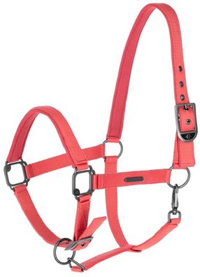 Covalliero Halfter coral FS 2025