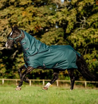 Horseware Amigo Ripstop 900D Plus Turnout 200g Decke Dynasty Green/Navy & Silver