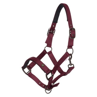 Imperial Riding Halfter IRHRebel Fig bordeaux rot