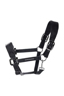 Cavallo Hallona Halfter black Horsefashion 2022