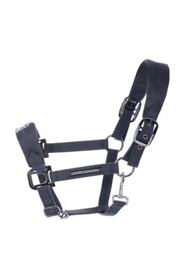 Cavallo Hallona Halfter twilight Horsefashion 2022